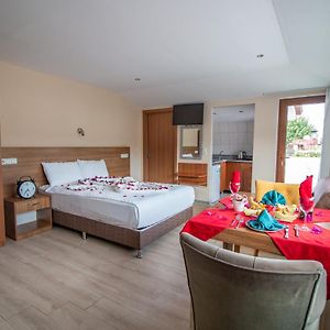 Apartament z 1 sypialnią